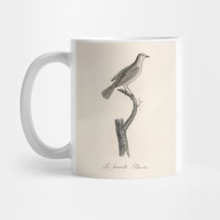 The Bicolor Warbler Mug